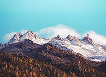 沙特媒体：C罗确定缺席利雅得胜利战吉达联合 主帅热苏斯声援抗议